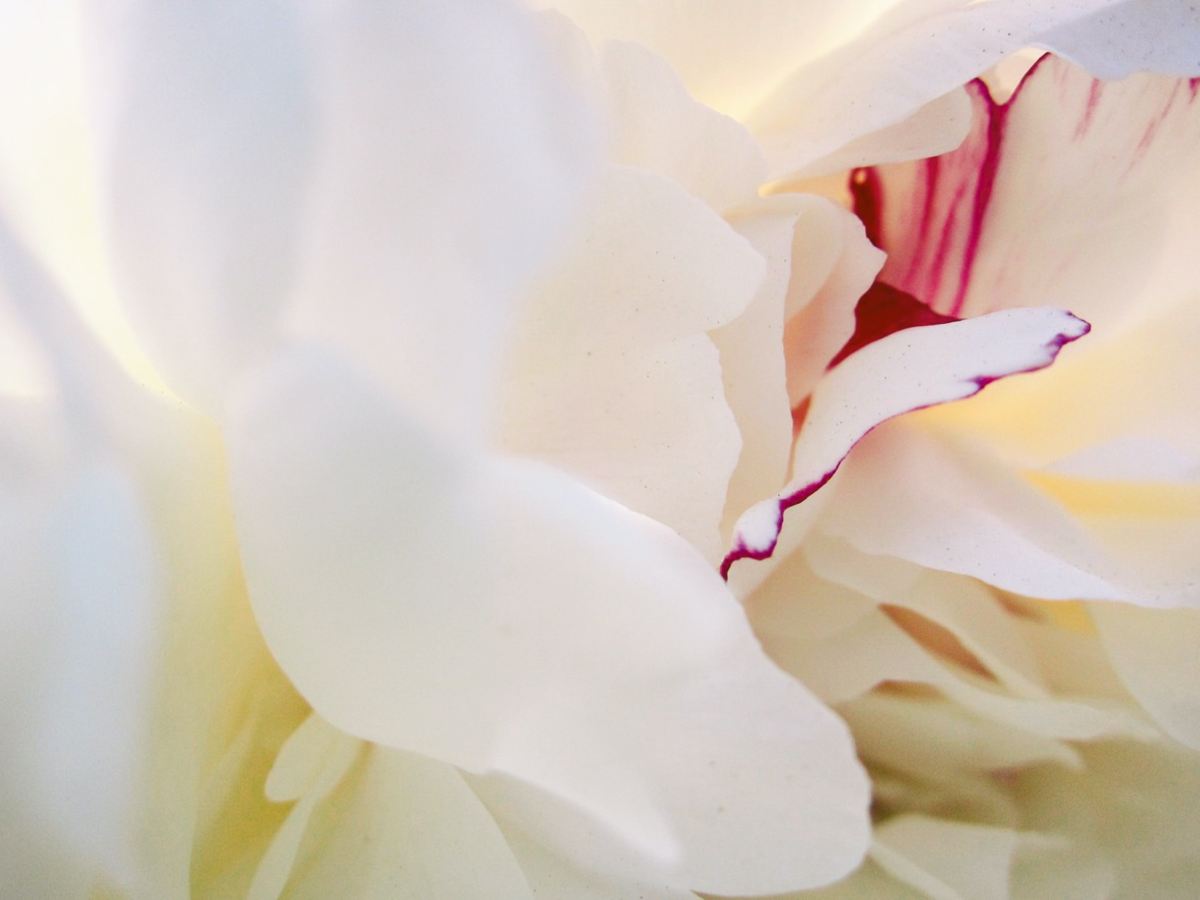 The Power of&nbsp;Gentleness