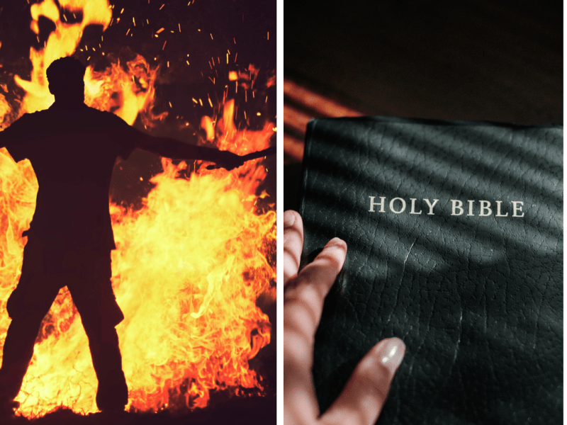 Bible Parallels in ‘The Gypsy&nbsp;Morph’