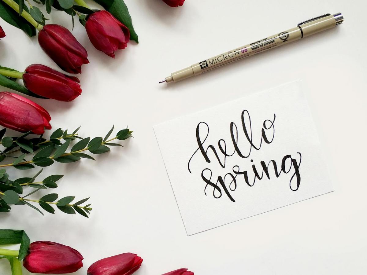 Springing into Change: Embracing the season of renewal and&nbsp;growth